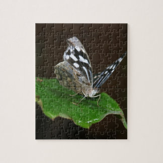 Zwarte en witte vlinder legpuzzel