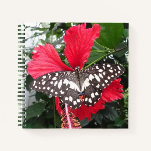 Zwarte en witte vlinder op Hibiscus Notitieboek (Voorkant)