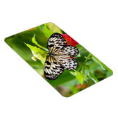 Zwarte en witte vlindermagneet magneet (Rechterzijde)