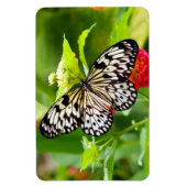 Zwarte en witte vlindermagneet magneet (Verticaal)