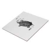 Zwarte en witte waterschildpad tegeltje (Zijkant)