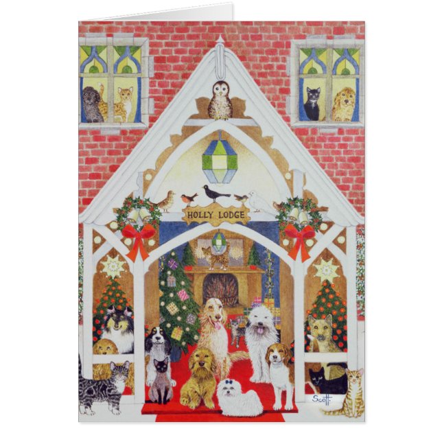 Zwarte en witte whiskers (Voorkant)