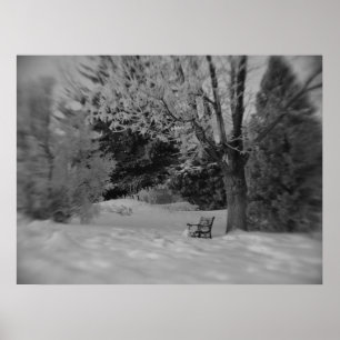 Zwarte en witte winterparkdruk poster