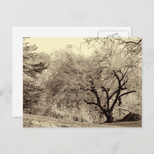 Zwarte en witte winterstructuur in het midden van briefkaart (Voorkant / Achterkant)