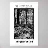 Zwarte en Witte Woud Glorie van God Poster