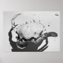 Zwarte en witte zwarte Zee Poster