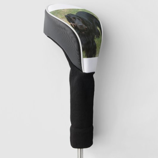 zwarte engelse cocker spaniel vol 2 golfheadcover (Schuin)