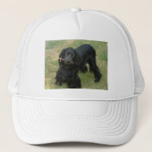 zwarte engelse cocker spaniel vol 2 trucker pet (Voorkant)