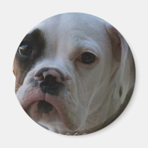 Zwarte Eyed Boxer Hond Ronde Magneet