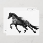 Zwarte friesse hengst - briefkaart van friet (Voorkant / Achterkant)