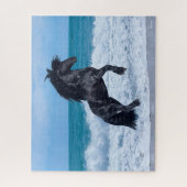 Zwarte Friessische steenkoolteelt in de Zee Legpuzzel (Verticaal)