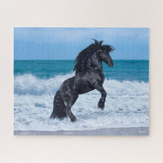 Zwarte Friessische steenkoolteelt in de Zee Legpuzzel