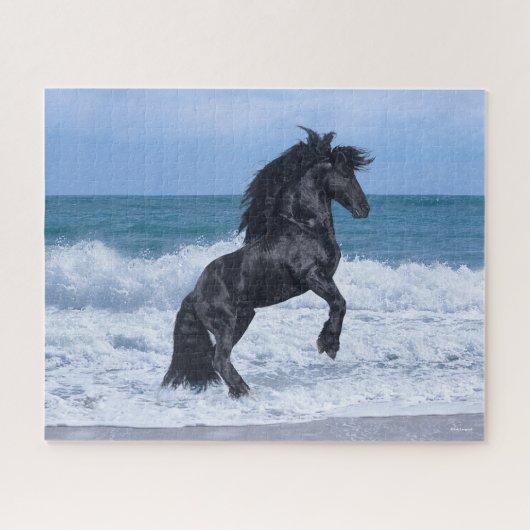 Zwarte Friessische steenkoolteelt in de Zee Legpuzzel (Horizontaal)