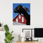 Zwarte geit en rode schors poster (Thuiskantoor)