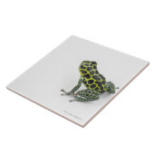 Zwarte gepotte groene giftige kunstkikker tegeltje (Zijkant)