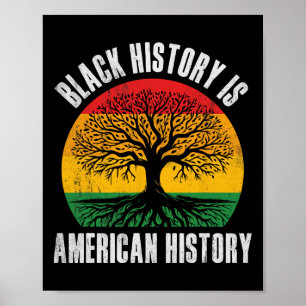 Zwarte Geschiedenis Is Amerikaanse Geschiedenis Bh Poster