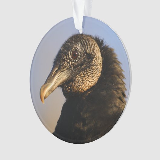 zwarte gier ornament (voorkant)