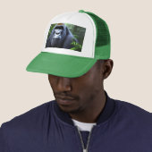 Zwarte gorilla in het Oerwoud, Trucker Pet (In situ)
