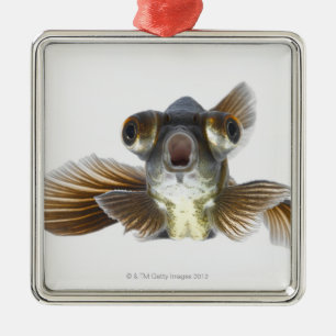 Zwarte goudvis (Carassius auratus) Metalen Ornament