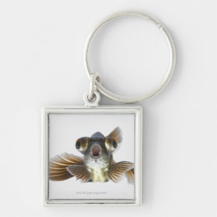 Zwarte goudvis (Carassius auratus) Sleutelhanger