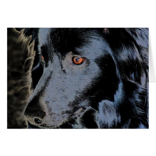 Zwarte-grens Collie Face Dog-kaart (Voorkant Horizontaal)