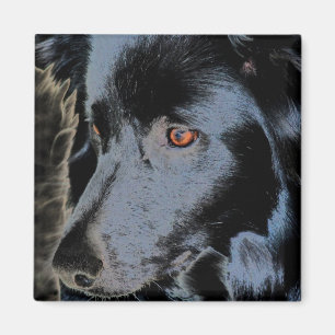 Zwarte grens Collie Face Dog Magnet Magneet