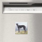 Zwarte Greyhound Staande Hond Art Magnet Magneet (Insitu (Vaatwasser))