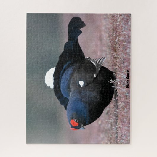 Zwarte Groot Legpuzzel (Verticaal)