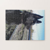 Zwarte GSD met treinsporen Legpuzzel (Horizontaal)