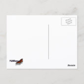 Zwarte Hagedis Briefkaart (Achterkant)