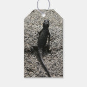 Zwarte Hagedis Cadeaulabel (Voorkant)
