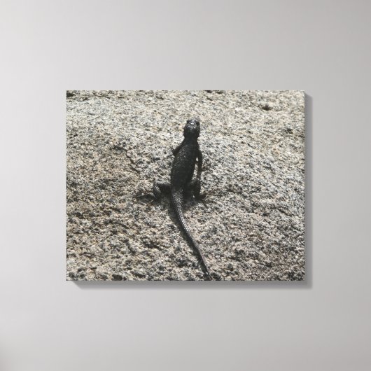 Zwarte Hagedis Canvas Afdruk (Voorkant)