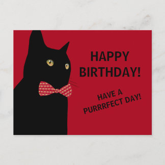 Zwarte Happy Birthday Cat met een Red Bow Stropdas Briefkaart