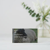 Zwarte heide schapen op gras visitekaartje (Staand voorkant)