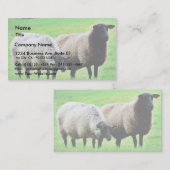 Zwarte heide schapen visitekaartje (Voorkant / Achterkant)