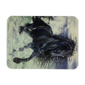 Zwarte hengst van het "Friessische Storm" in het z Magneet (Horizontaal)