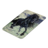 Zwarte hengst van het "Friessische Storm" in het z Magneet (Linkerzijde)