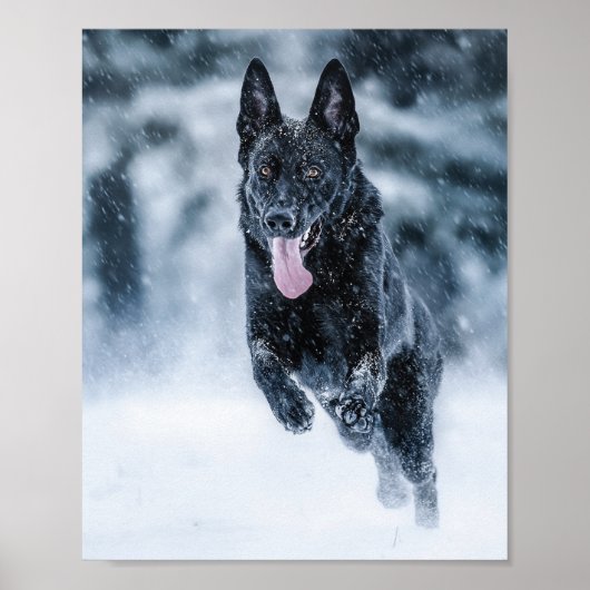 Zwarte herder in het Hoesje van de sneeuwdekooter Poster (Voorkant)