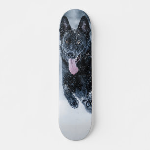 Zwarte herder in het Hoesje van de sneeuwdekooter Skateboard