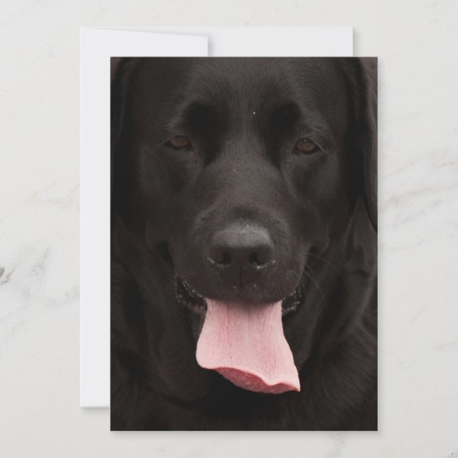 Zwarte hond (Voorkant)