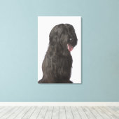 Zwarte hond, Briard Canvas Afdruk (Insitu (Houten vloer))