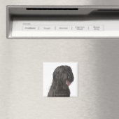 Zwarte hond, Briard Magneet (Insitu (Vaatwasser))