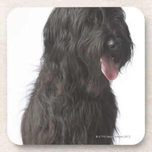 Zwarte hond, Briard Onderzetter