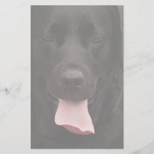 Zwarte hond briefpapier (Voorkant)