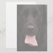 Zwarte hond briefpapier (Voorkant / Achterkant)