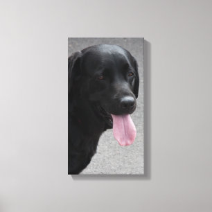 Zwarte hond canvas afdruk
