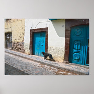 Zwarte hond in Cusco, Peru Poster