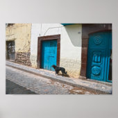 Zwarte hond in Cusco, Peru Poster (Voorkant)
