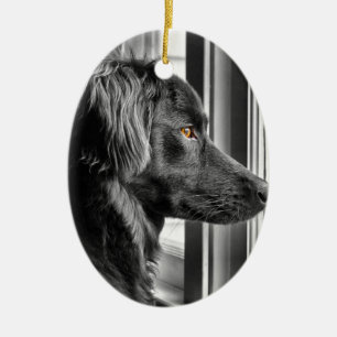Zwarte hond keramisch ornament