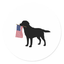 Zwarte hond met Amerikaanse vlag - 4 juli